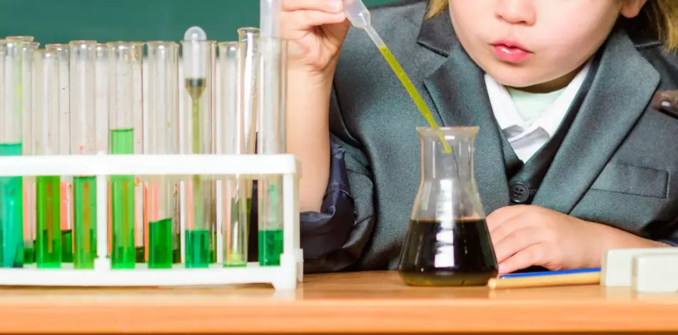 Doświadczona kadra specjalistów w przedszkolu i żłobku w Zabrzu